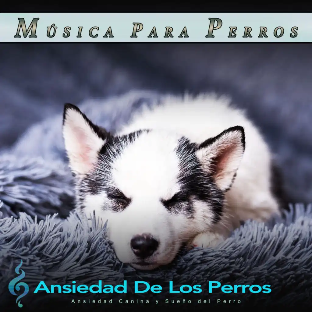 Música Para Perros: Ansiedad Canina y Sueño del Perro