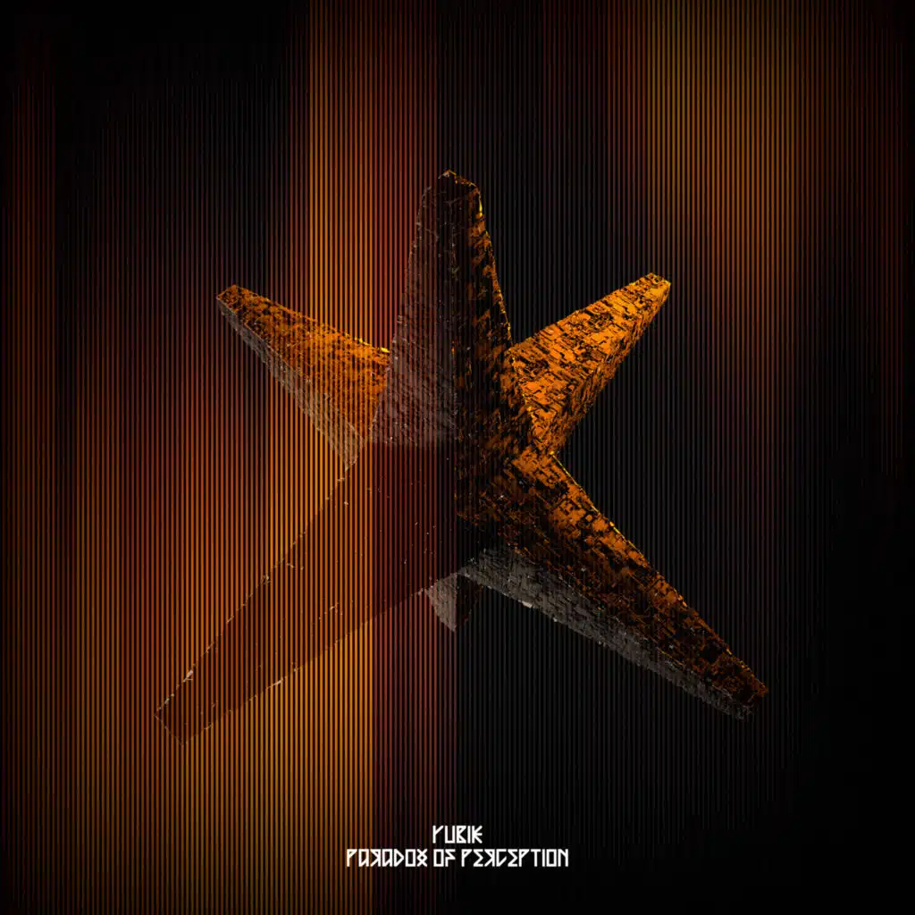 PARADOX OF PERCEPTION