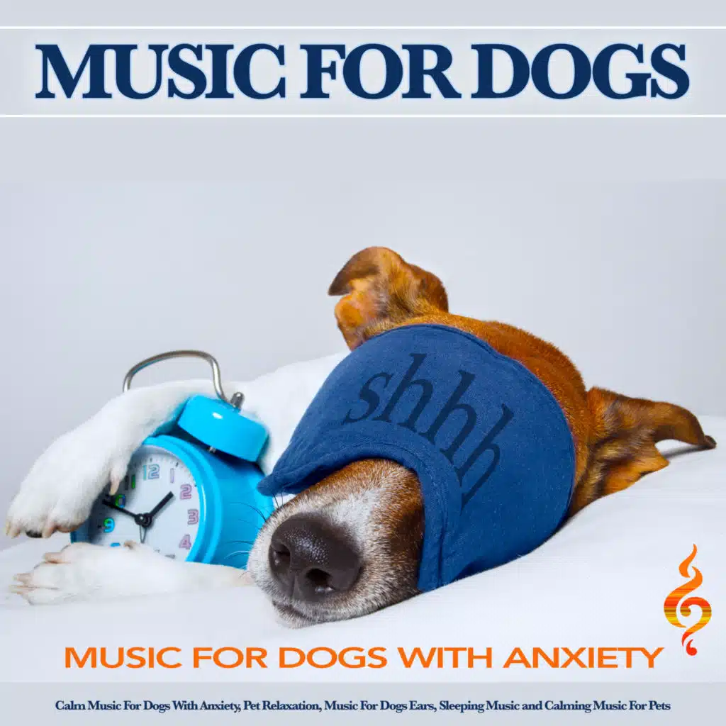 Calm Dog Music