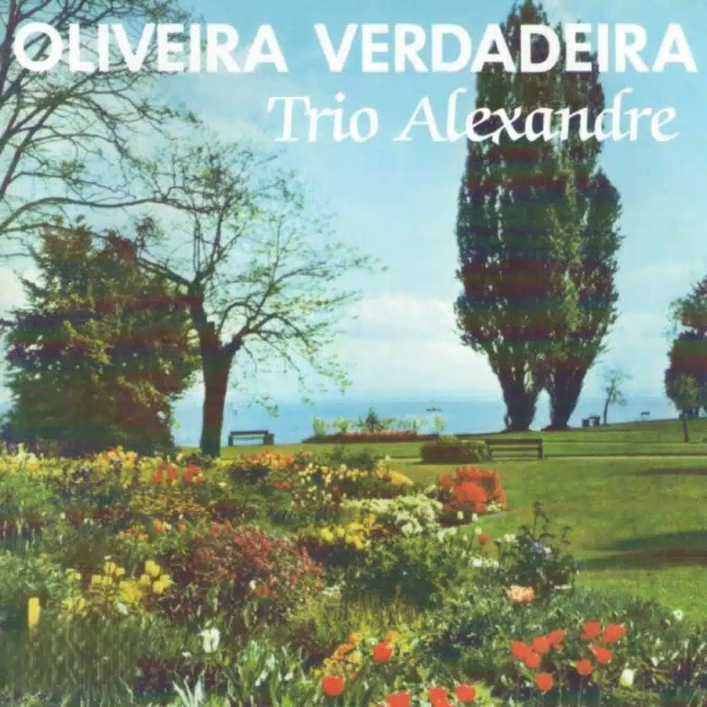 Oliveira Verdadeira