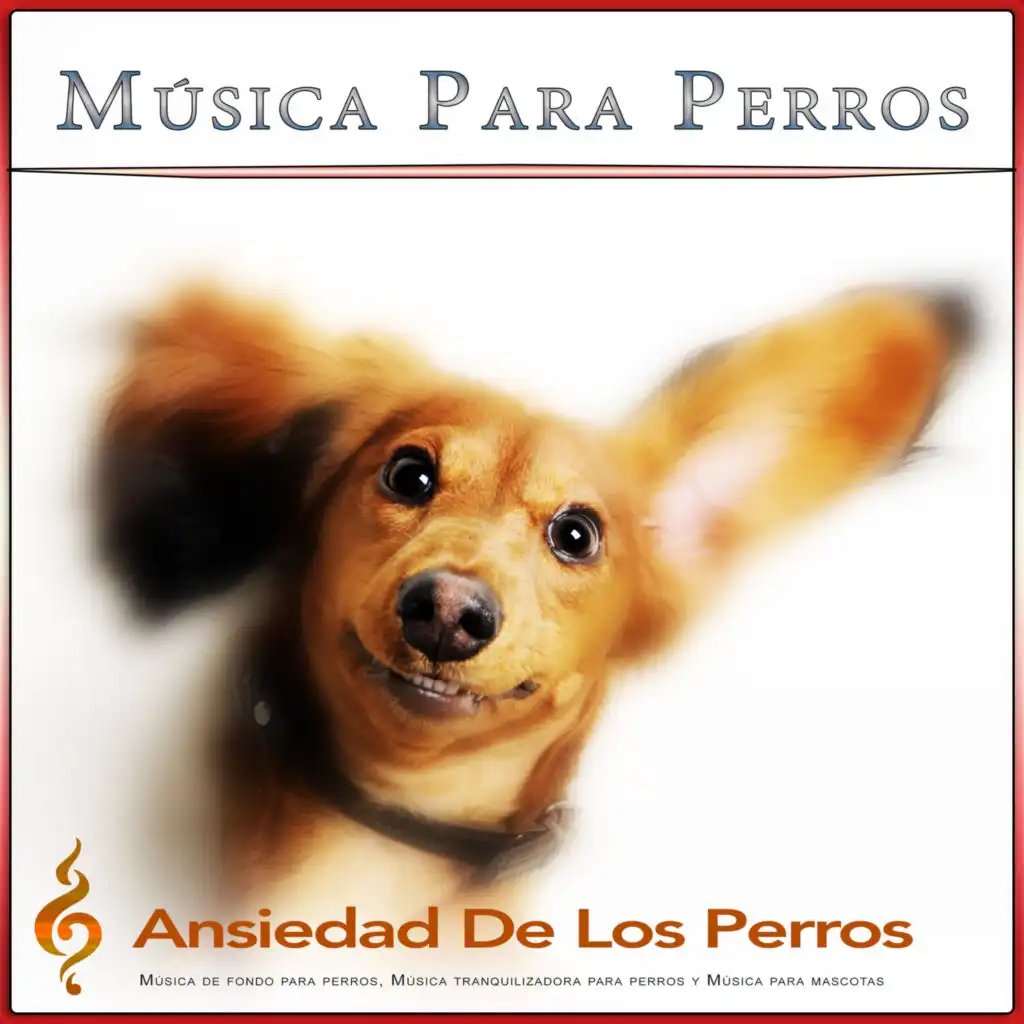 Música Serena para Mi Perro