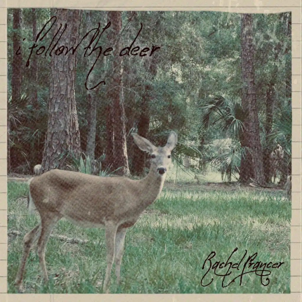 i follow the deer
