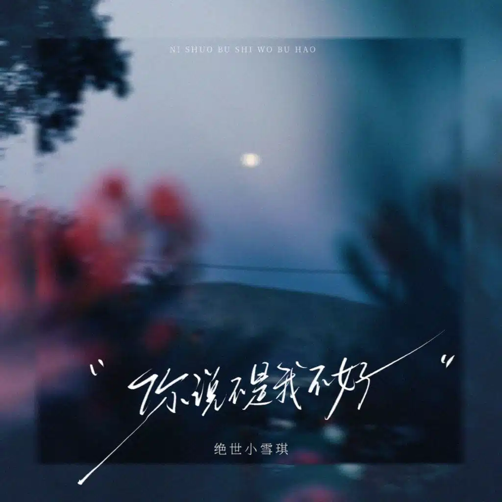 你说不是我不好