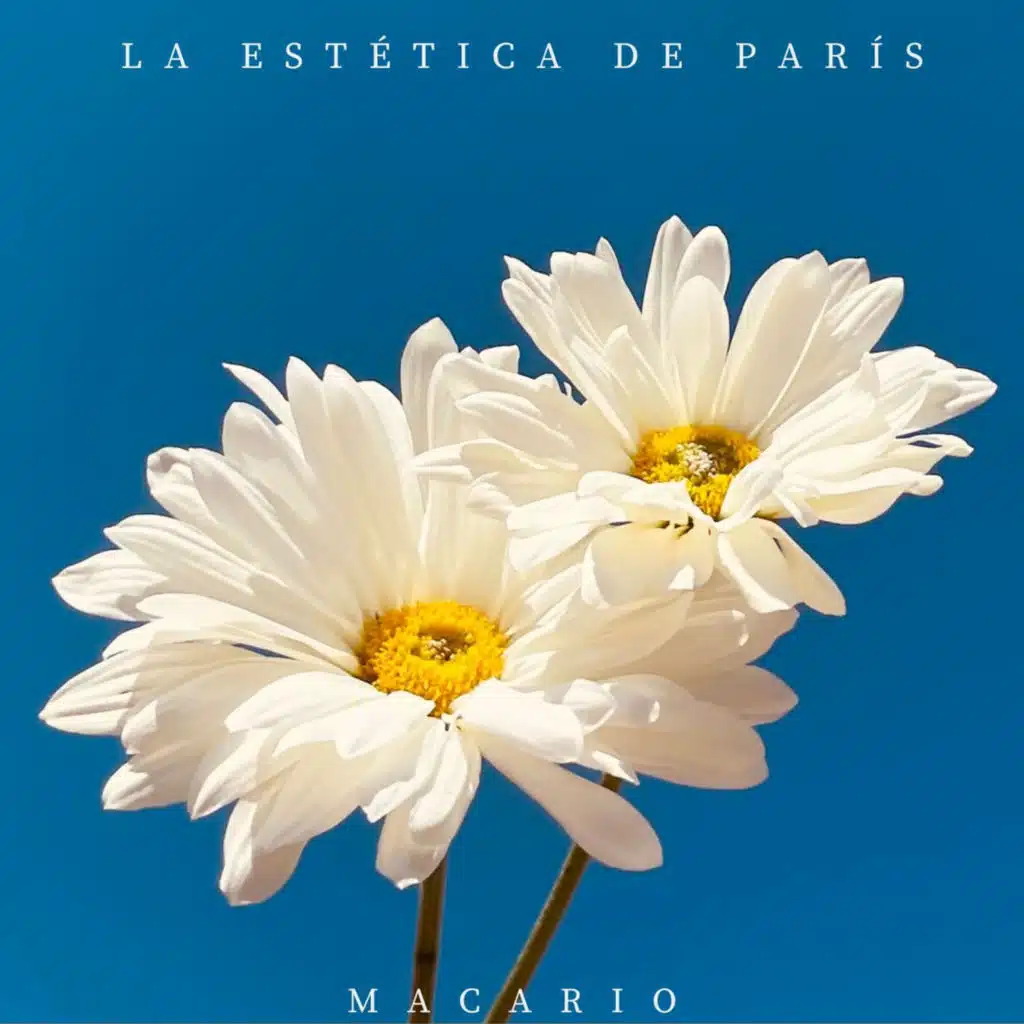 La Estética De París