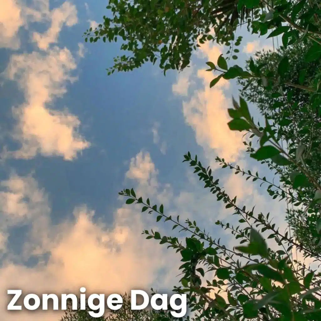 Zonnige Dag