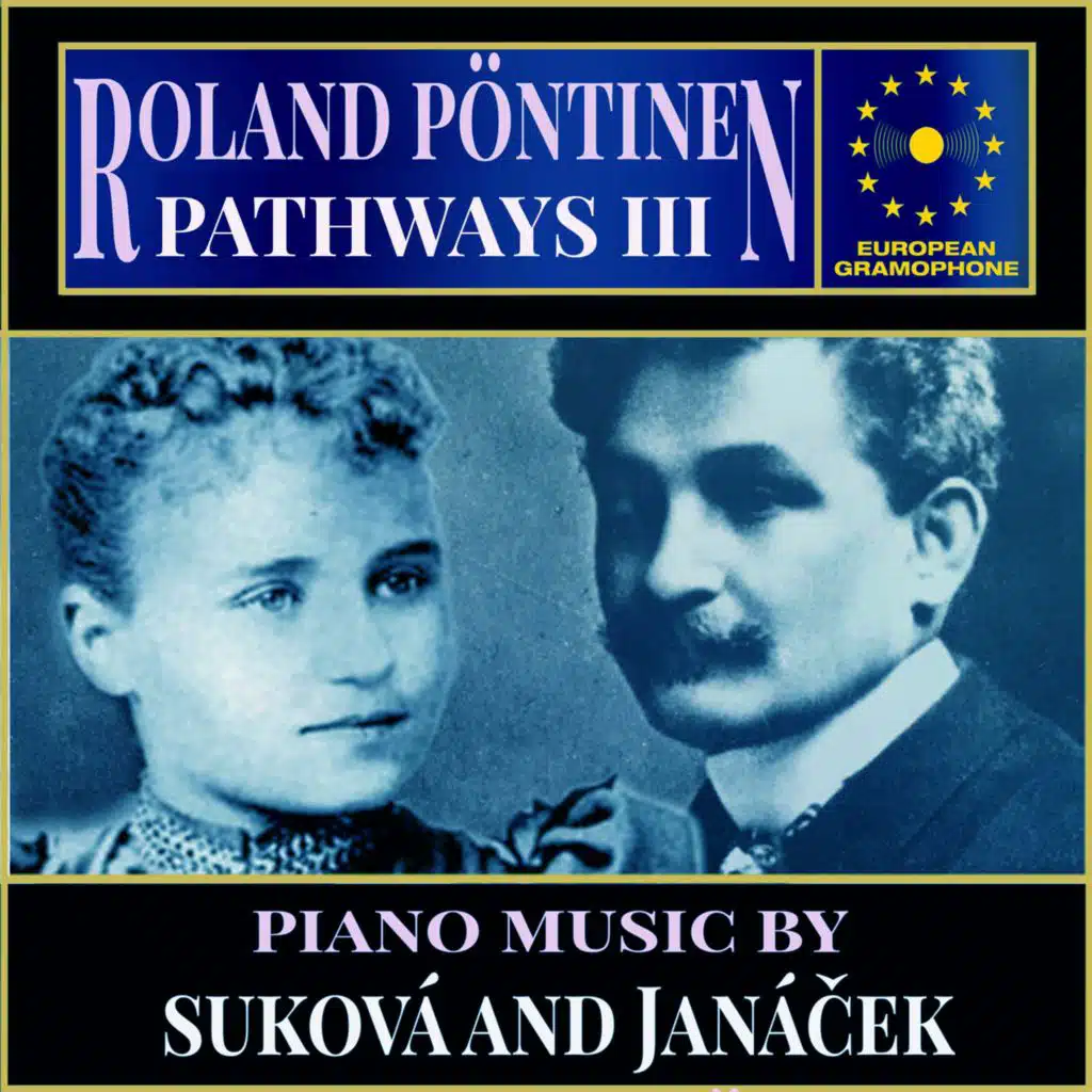 Roland Pöntinen: Pathways 3