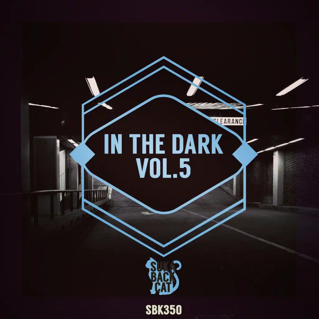 In the Dark, Vol. 5