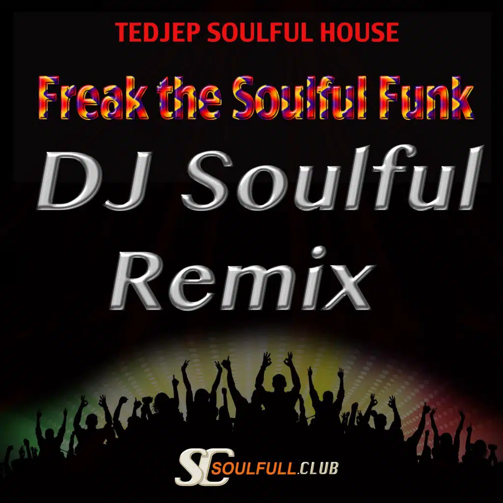 Freak the Soulful Funk (DJ Soulful Remix)