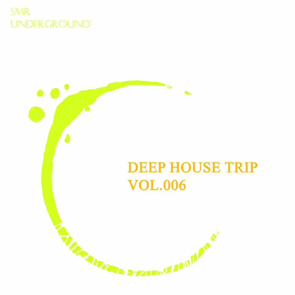 Deep Trip Vol.VI