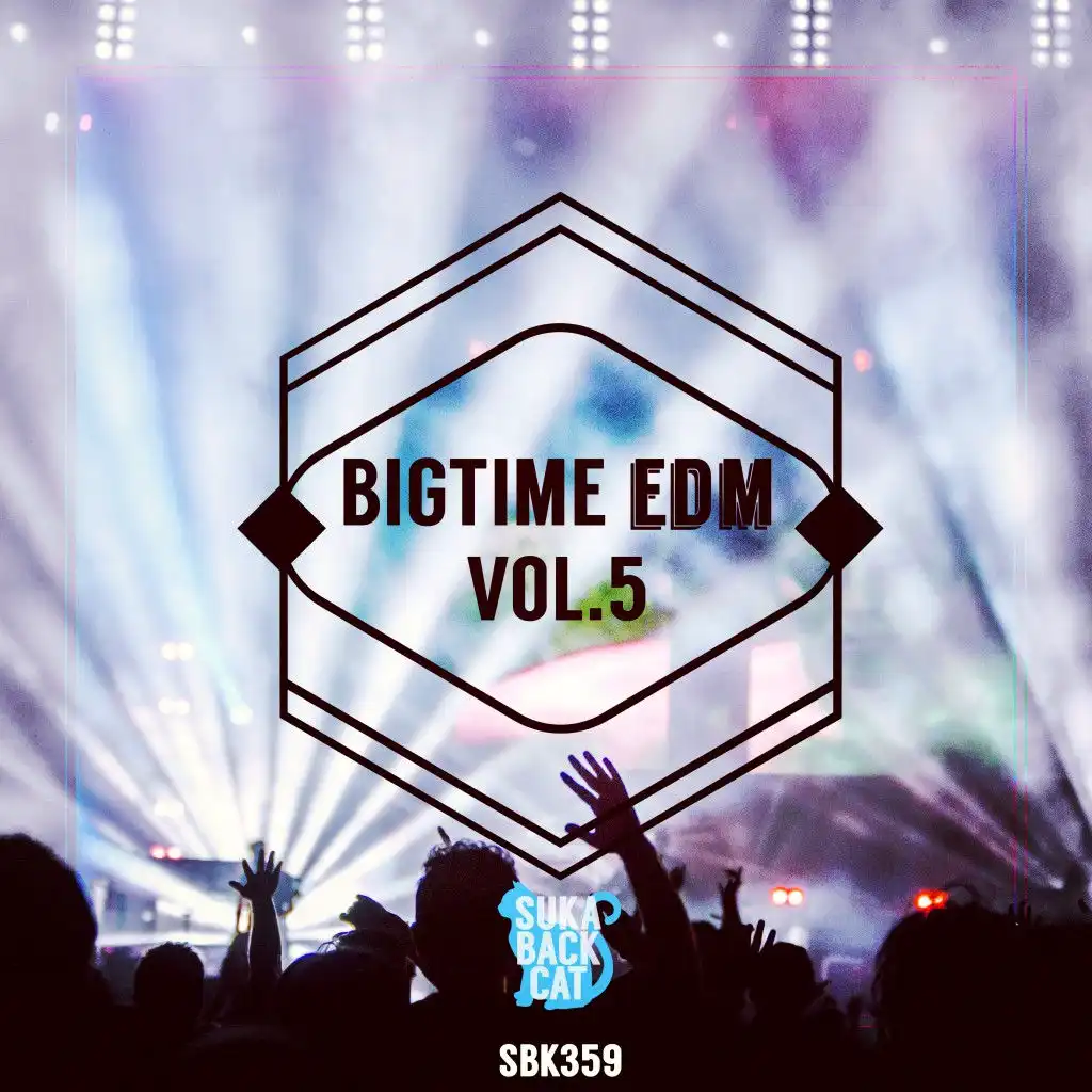 Bigtime EDM, Vol. 5