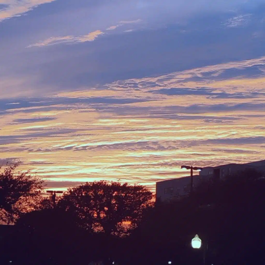 Our Memories Atop Olympus Mons