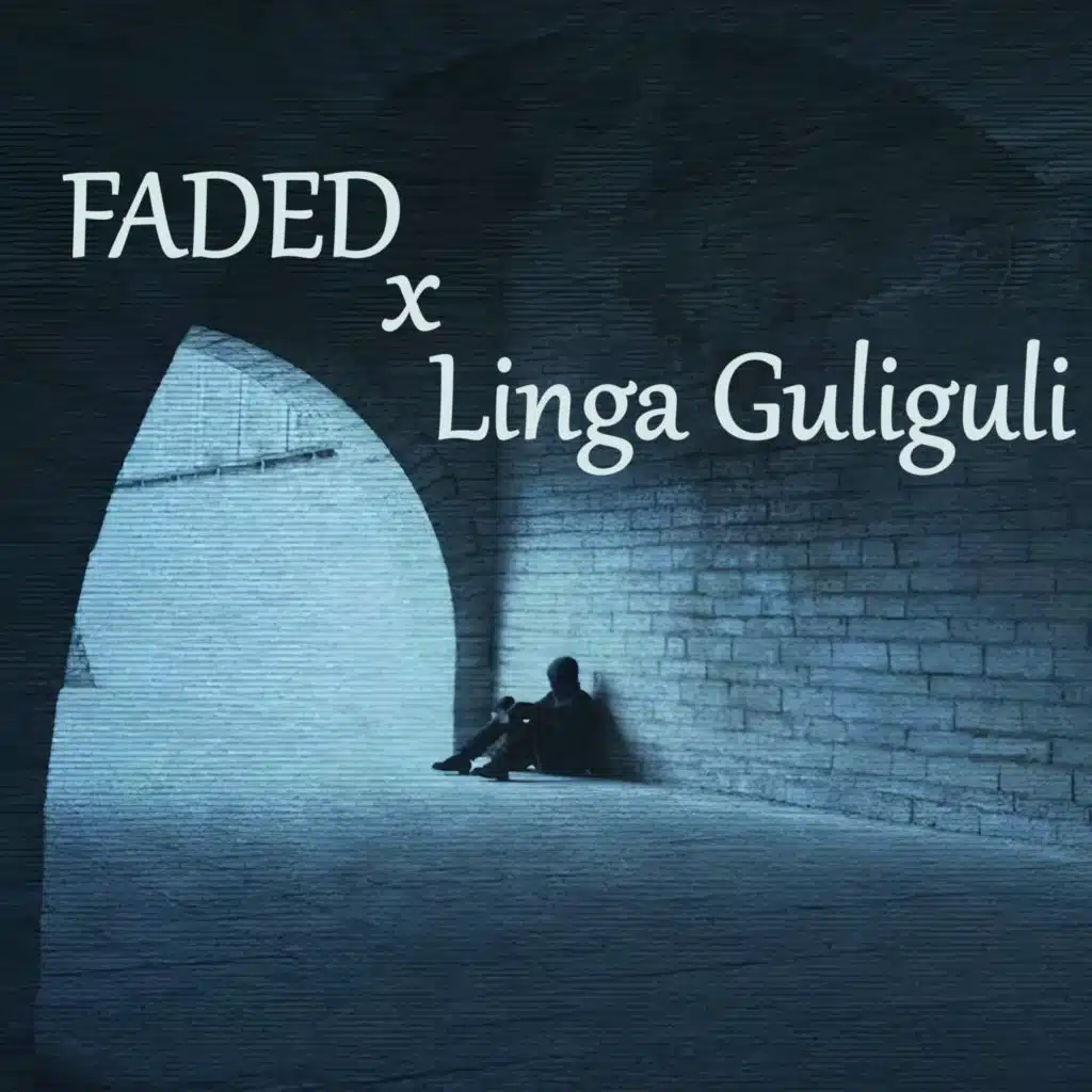 Faded x Linga Guliguli
