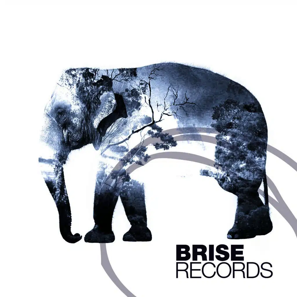 Dancing with Elephants (Original Mix)