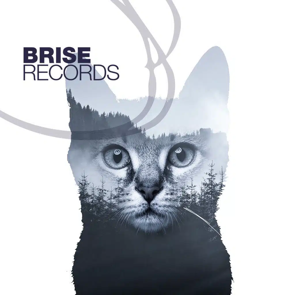 Boss Knows Why (Thomas Stieler Remix)