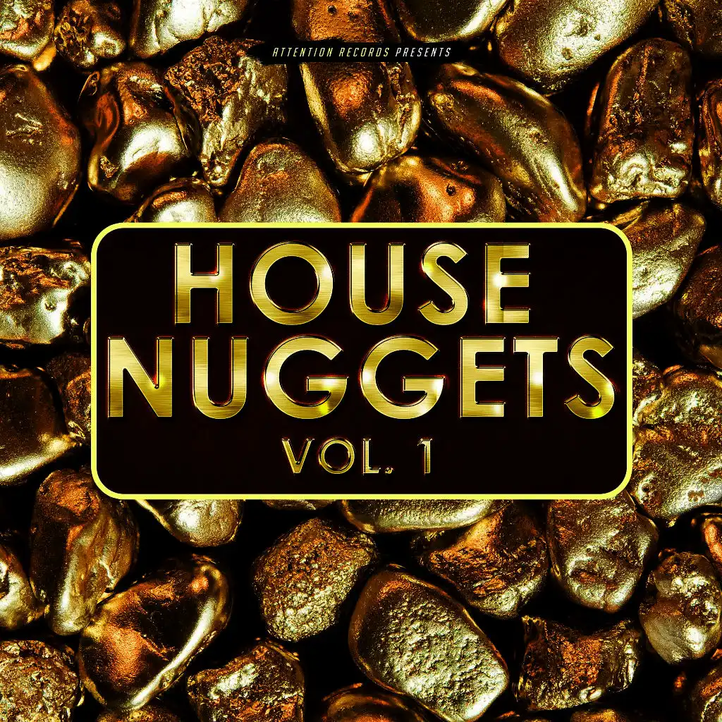 House Nuggets, Vol. 1