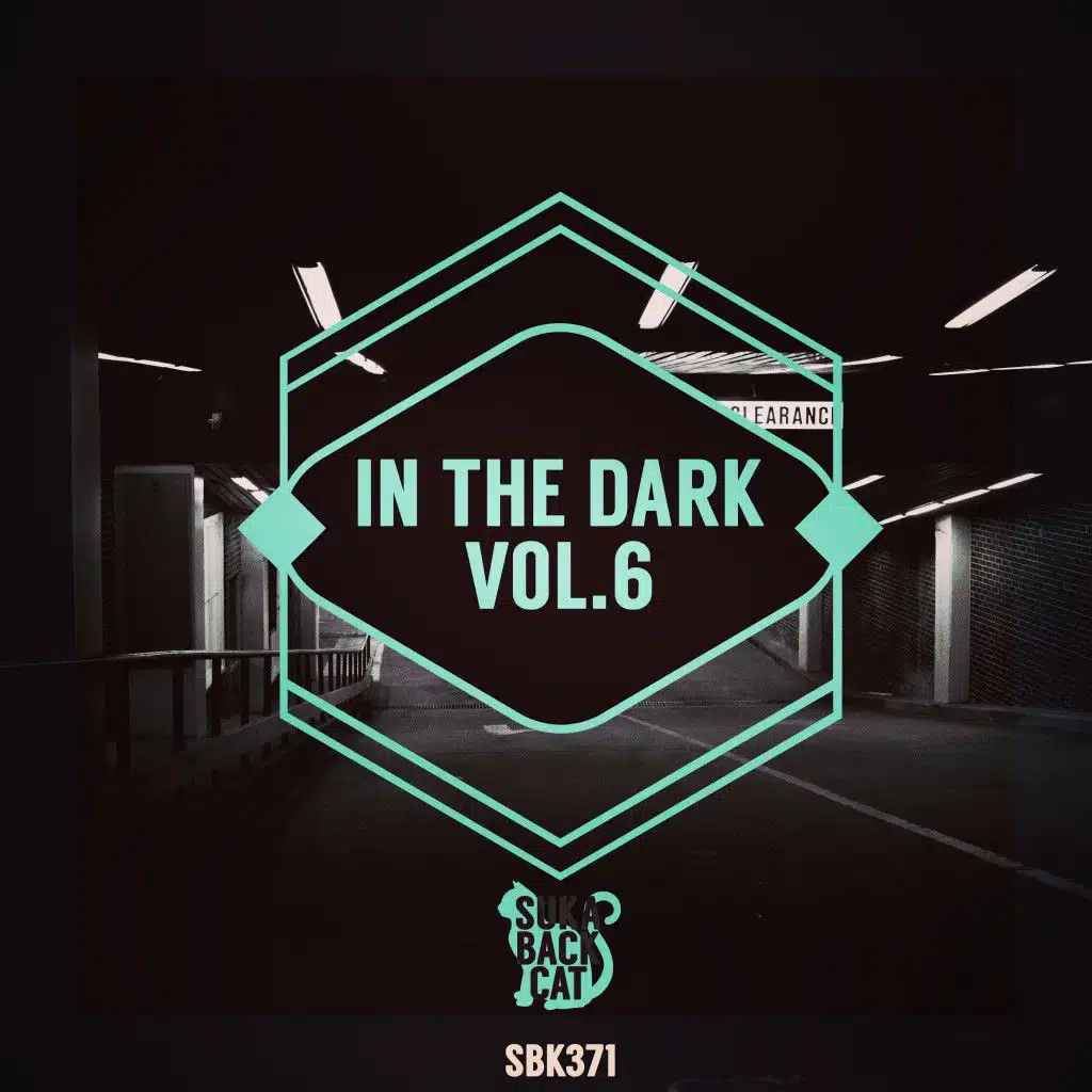 In the Dark, Vol. 6