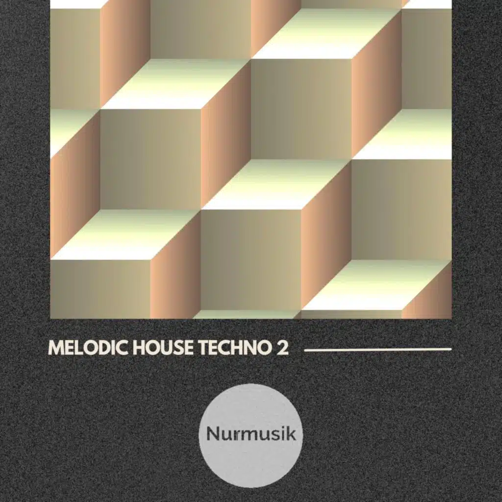 Melodic House Techno 2