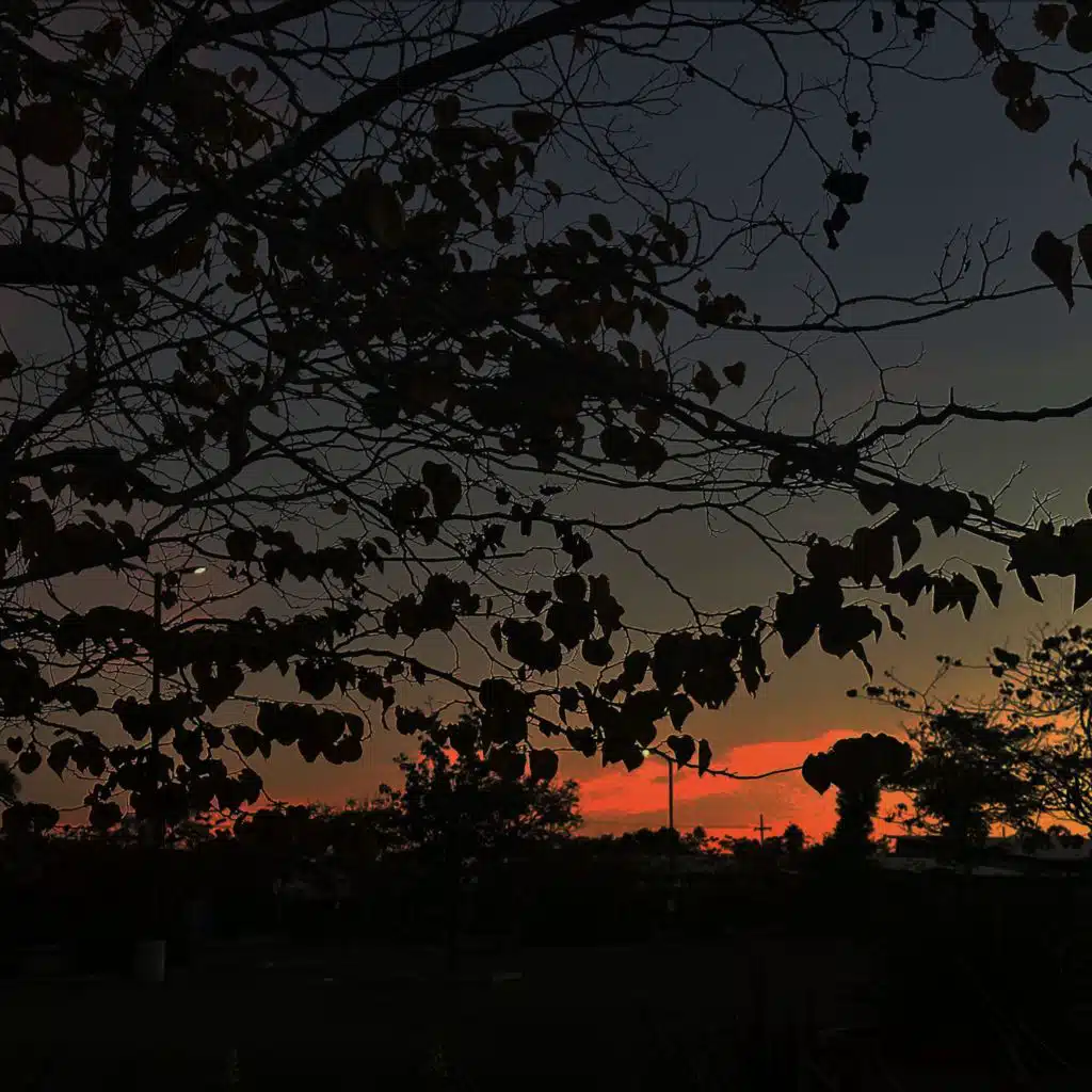 DOWNFALLHILL III