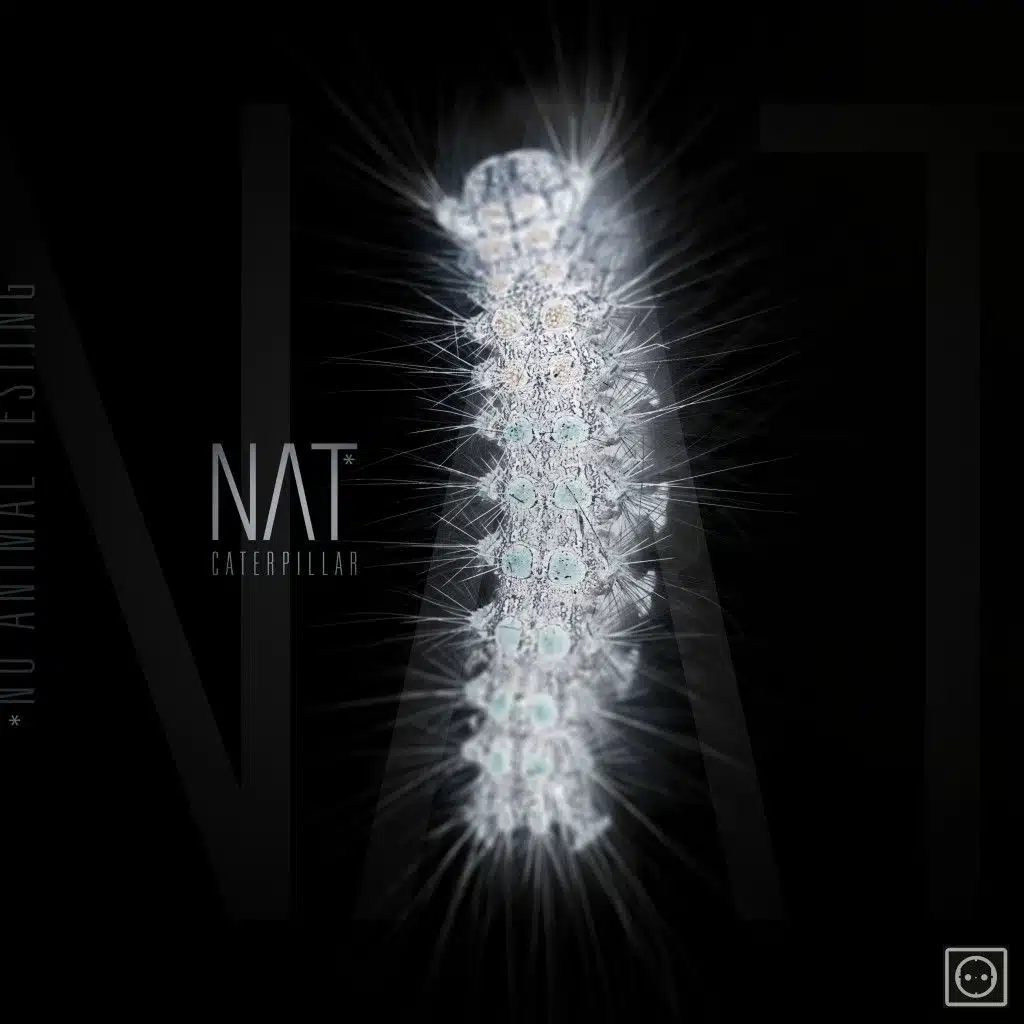 Caterpillar