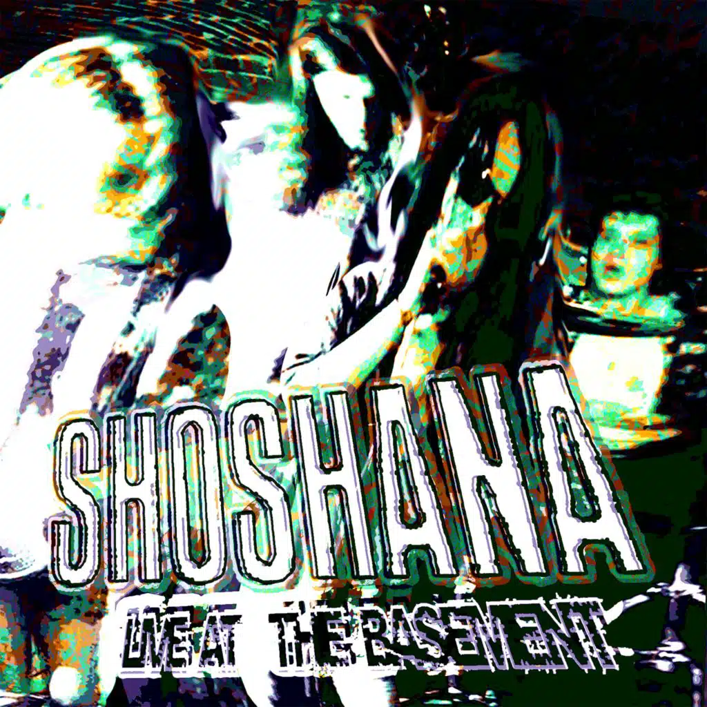 Live At The Basement