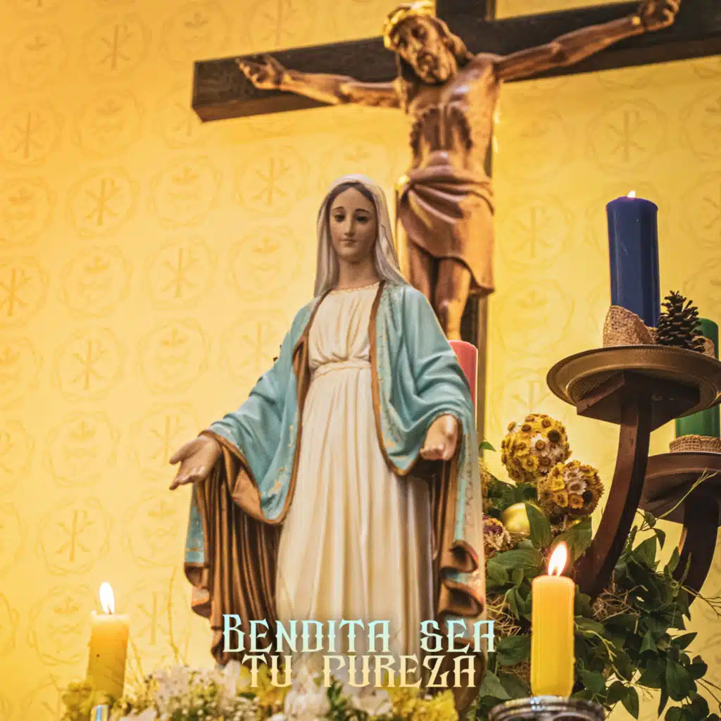 Bendita Sea Tu Pureza