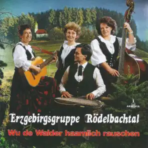 Erzgebirgsgruppe Rödelbachtal