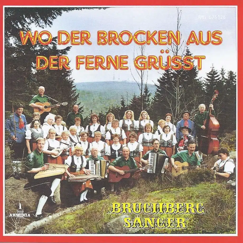 Bruchbergsänger