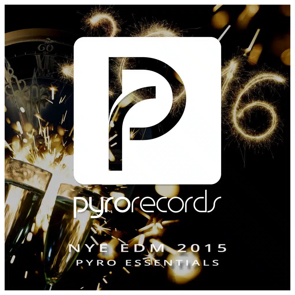 Nye EDM 2015