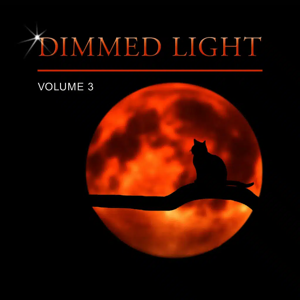 Dimmed Light, Vol. 3
