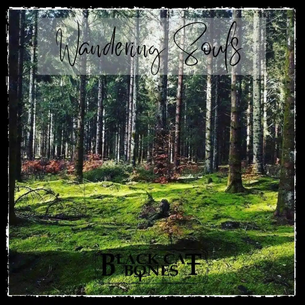 Black Cat Bones