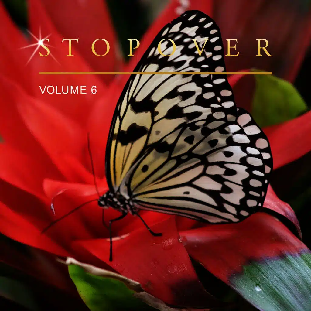 Stopover, Vol. 6