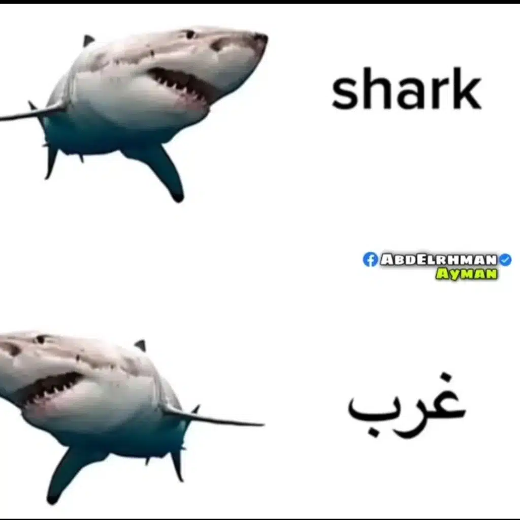 😛😛