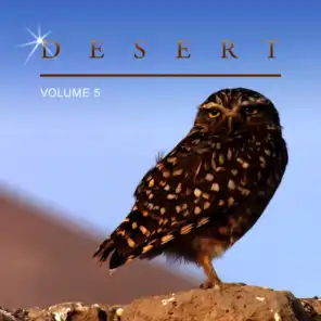 Desert, Vol. 5