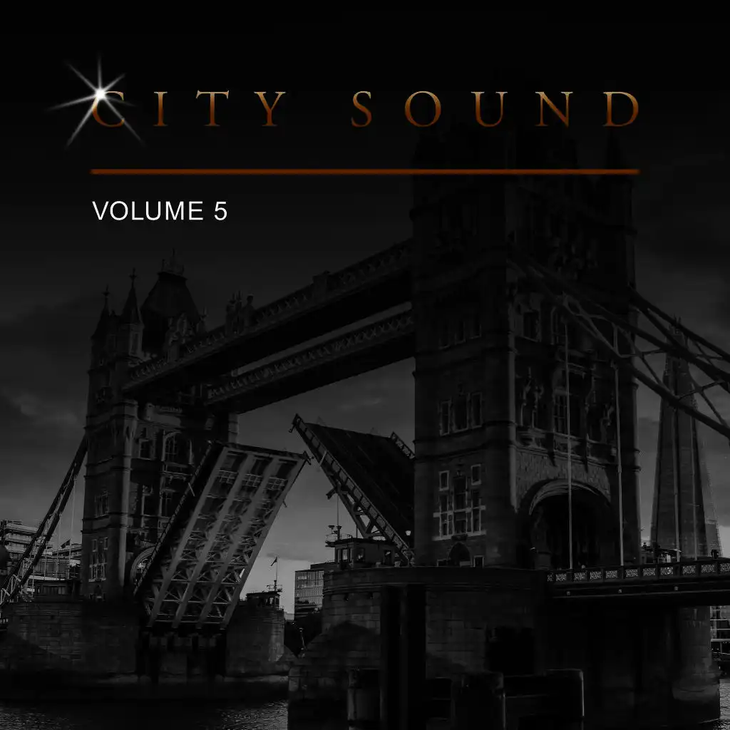 City Sound, Vol. 5