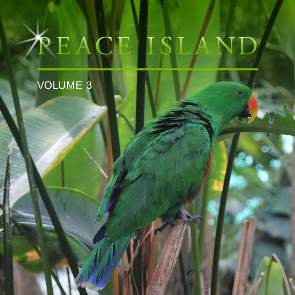Peace Island, Vol. 3