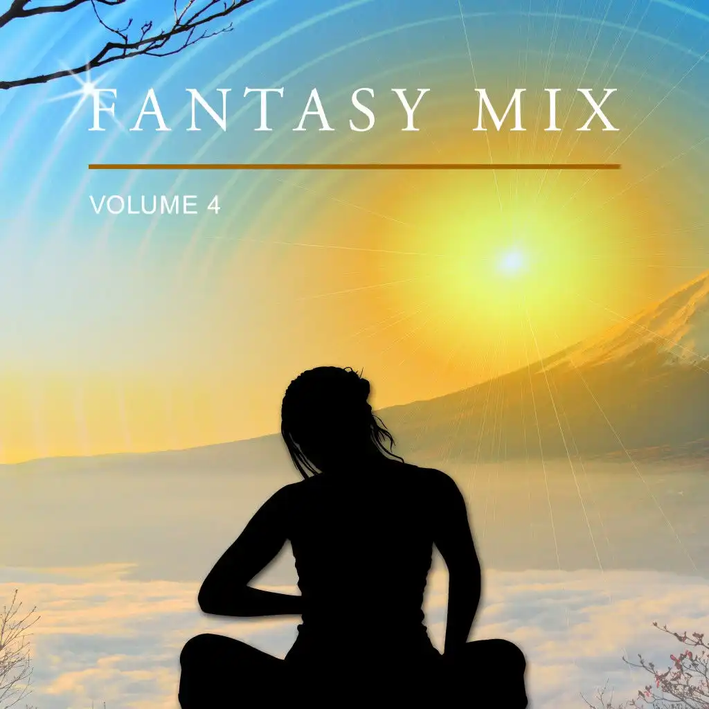 Fantasy Mix, Vol. 4