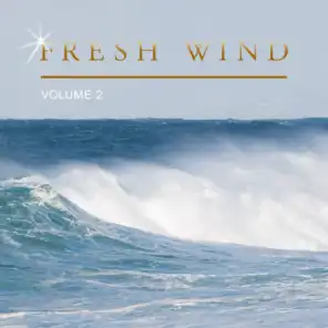 Fresh Wind, Vol. 2