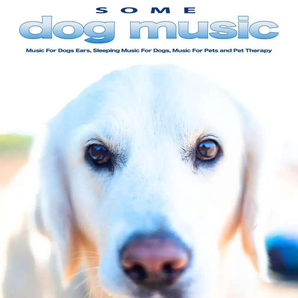 Guitar Music For Dogs