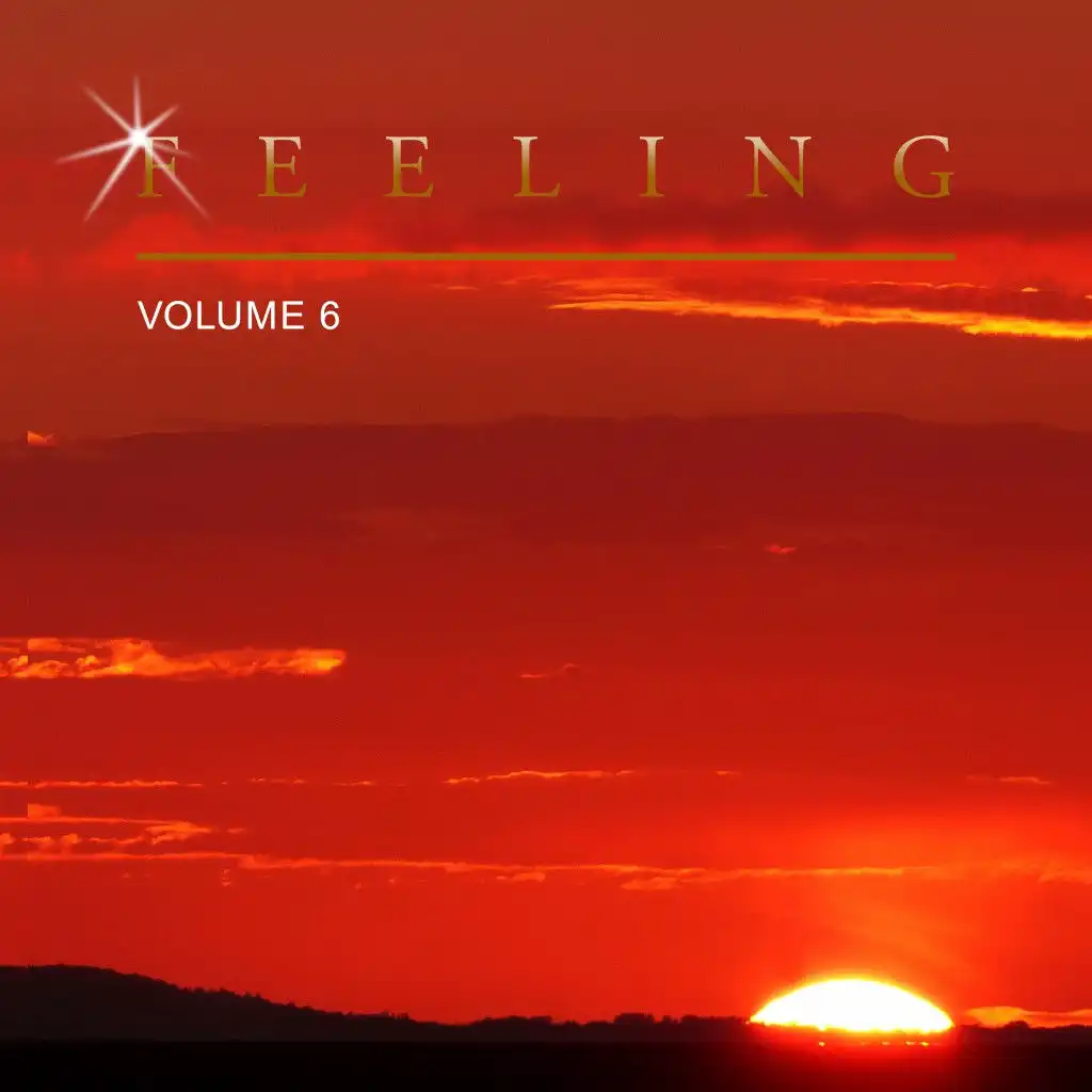 Feeling, Vol. 6