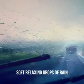 Soft Relaxing Drops of Rain