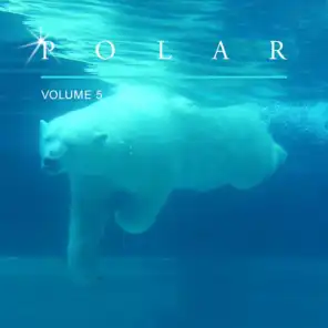 Polar, Vol. 5