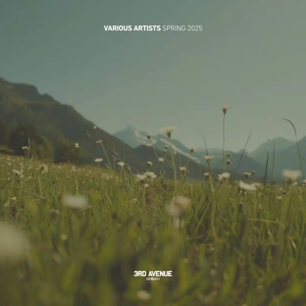 Euphoria (Mattim Remix)