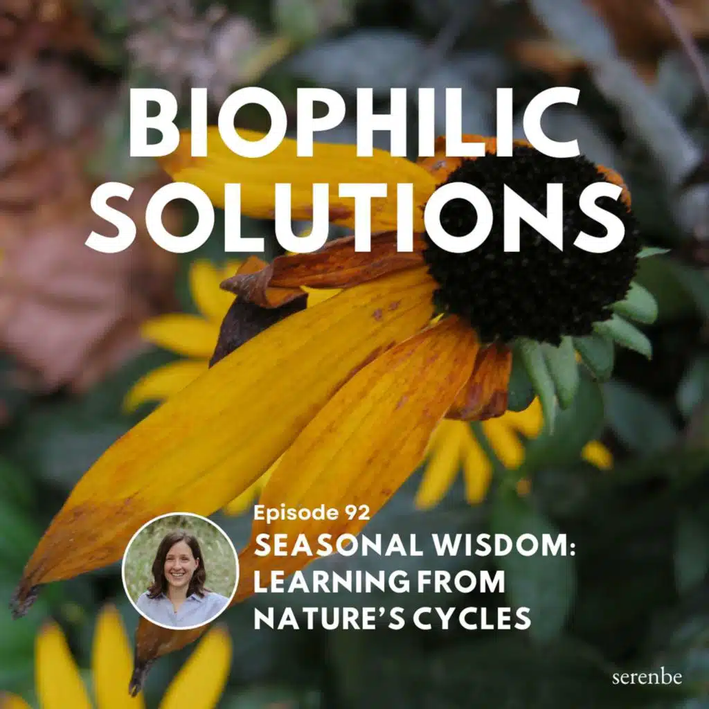 Seasonal Wisdom: Learning from Nature’s Cycles