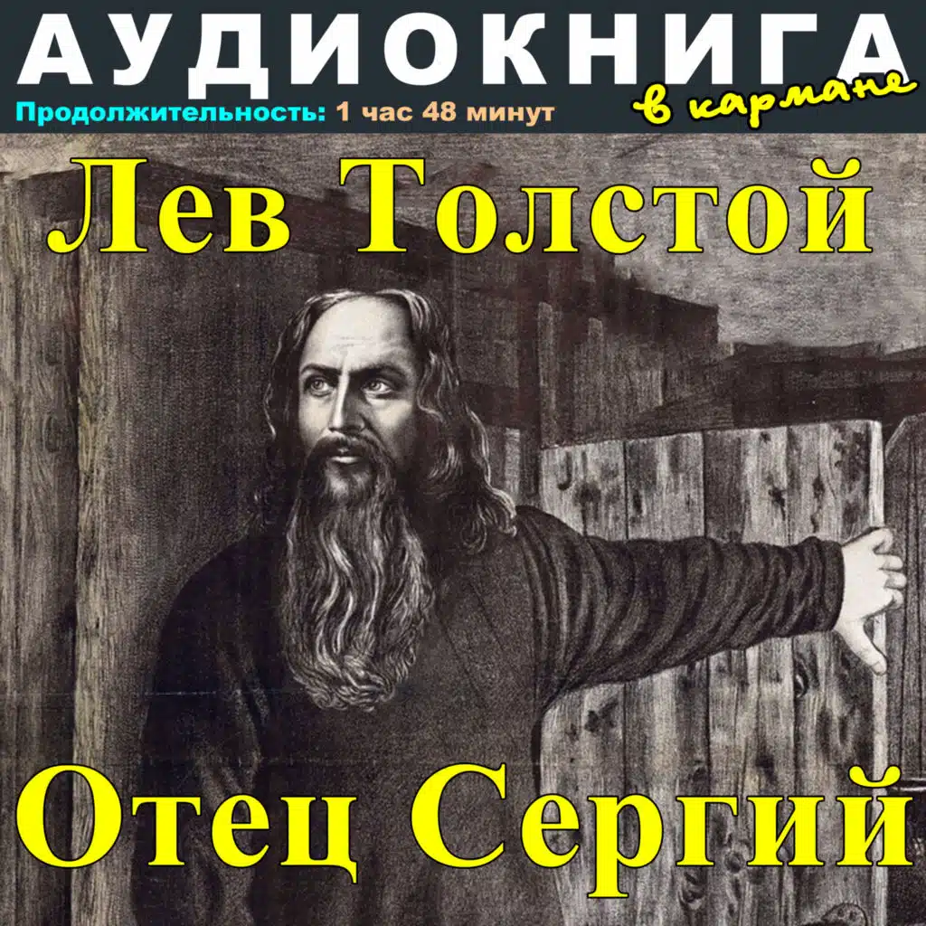 Аудиокнига в кармане & Максим Доронин