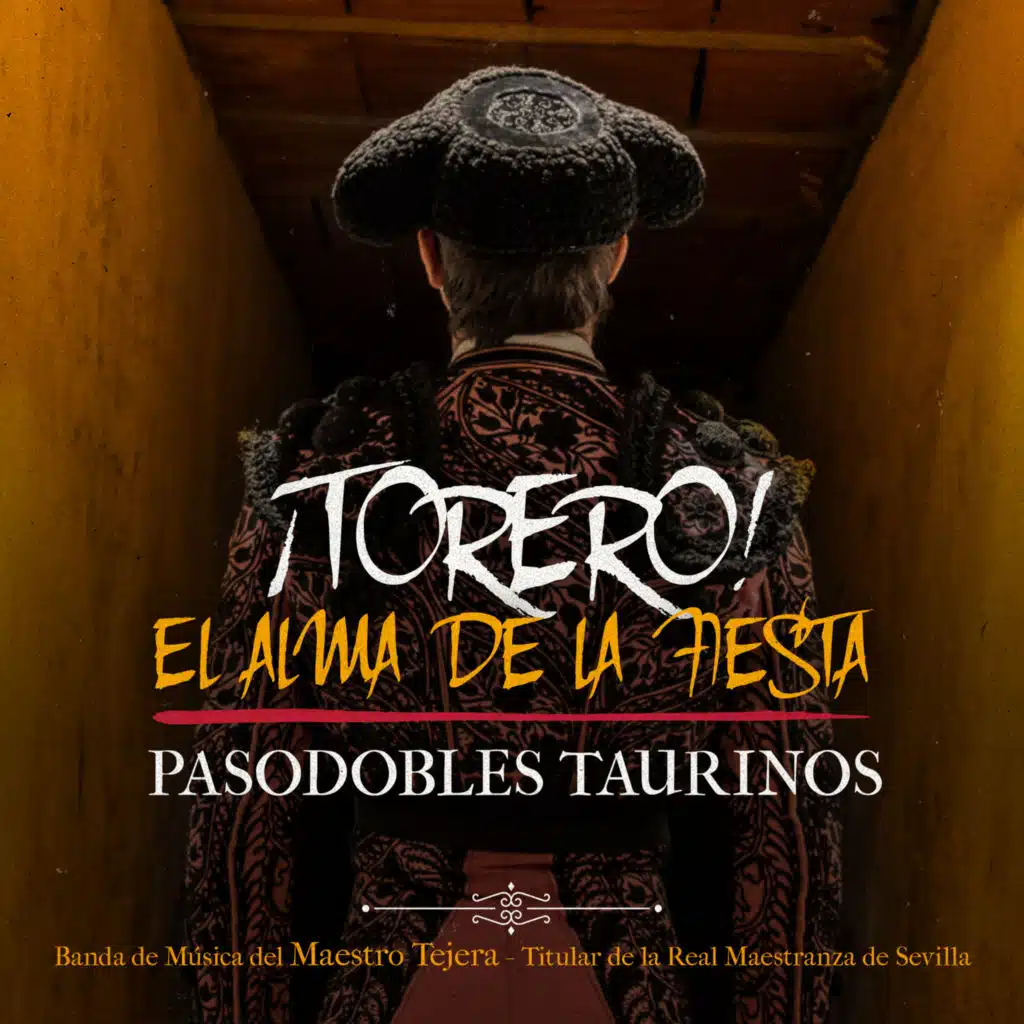 Banda de Musica del Maestro Tejera