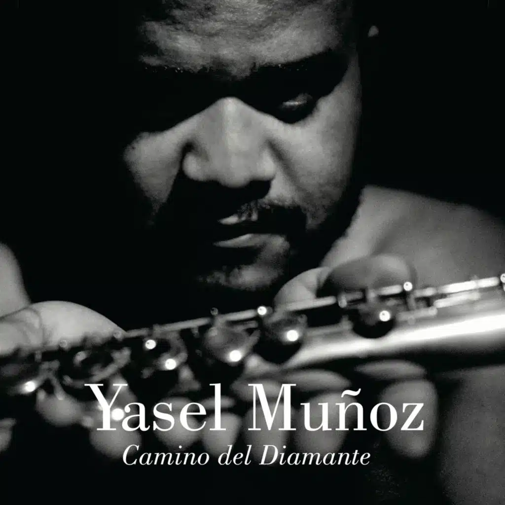 Camino del Diamante