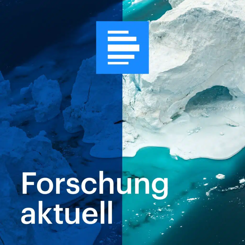 Tolle Idee: Sensoren sollen frühzeitig Waldbrände erkennen