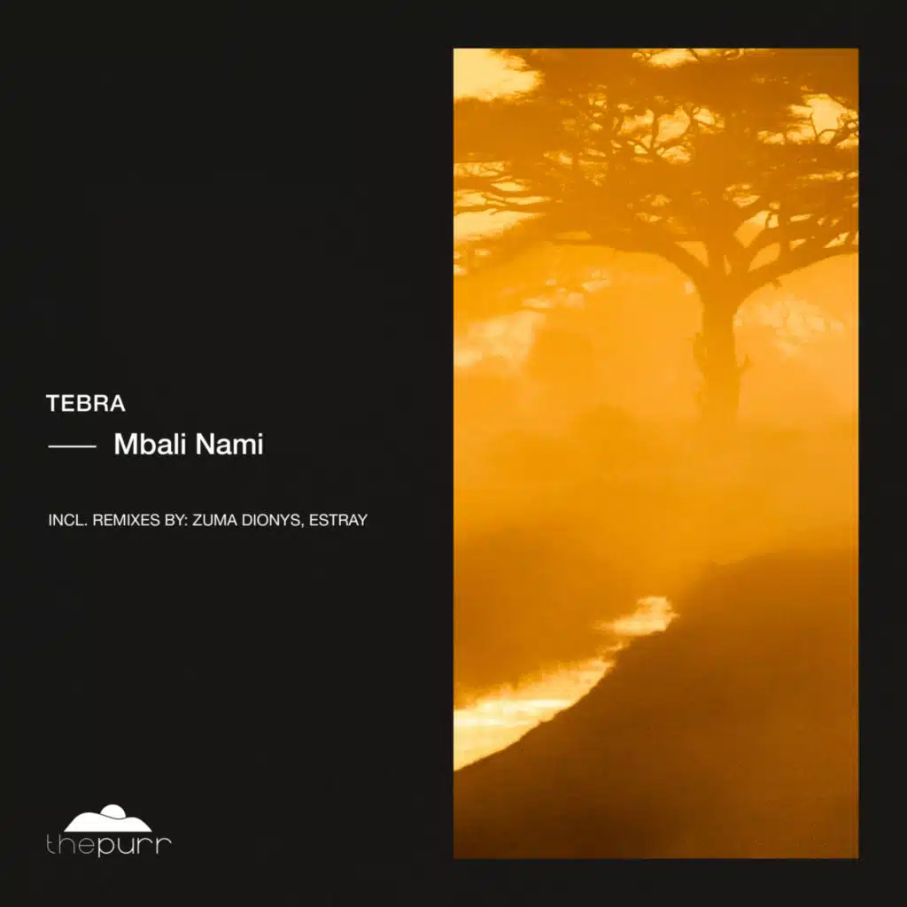 Mbali Nami