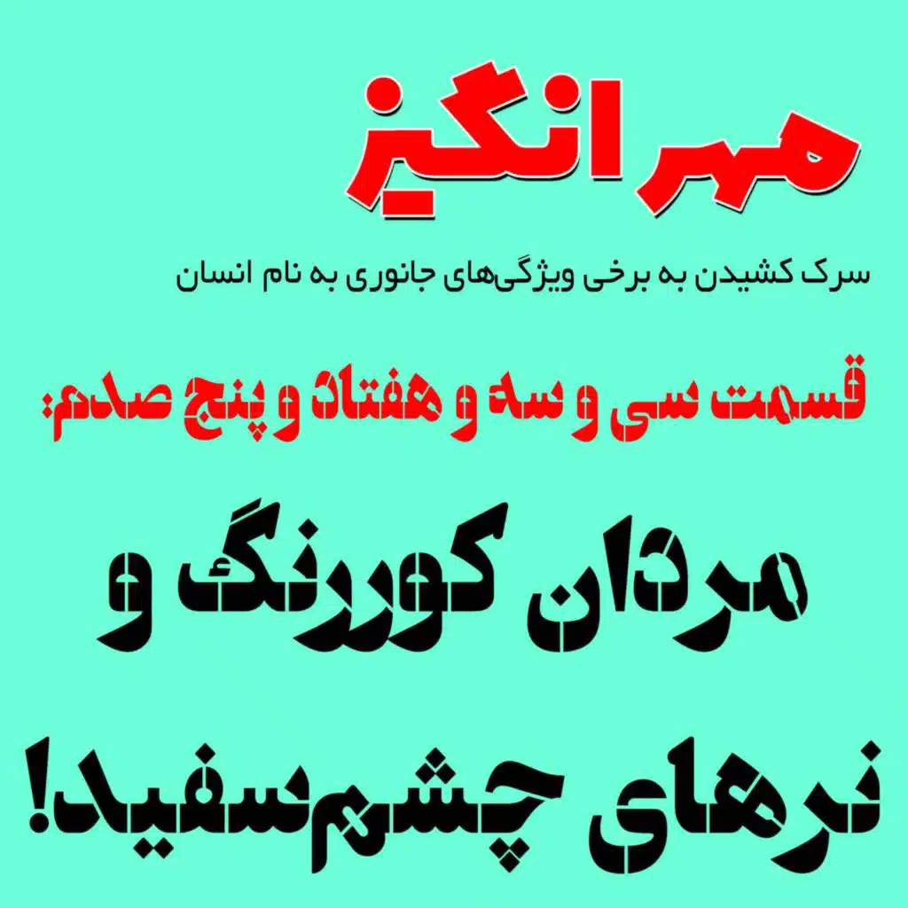 قسمت سی و سه و هفتاد و پنج صدم: مردان کوررنگ و نرهای چشم‌سفید!