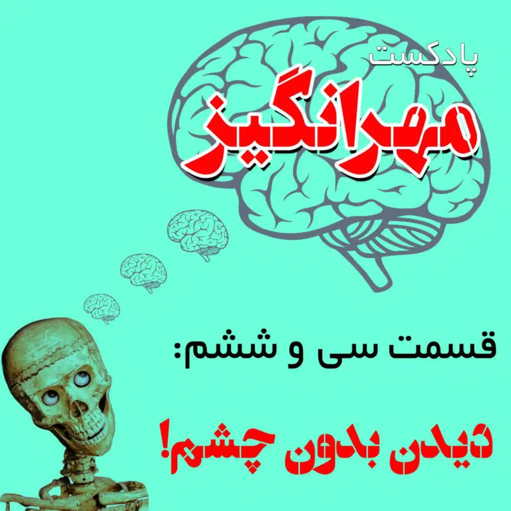 قسمت سی و ششم: دیدن بدون چشم!